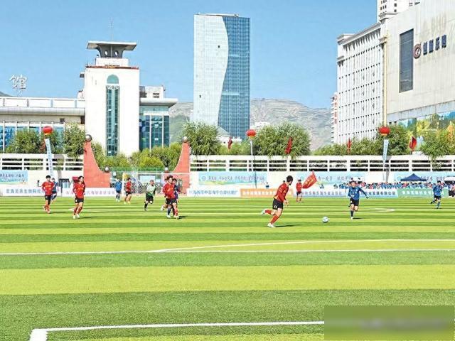 教练在场边, 在禁区内发