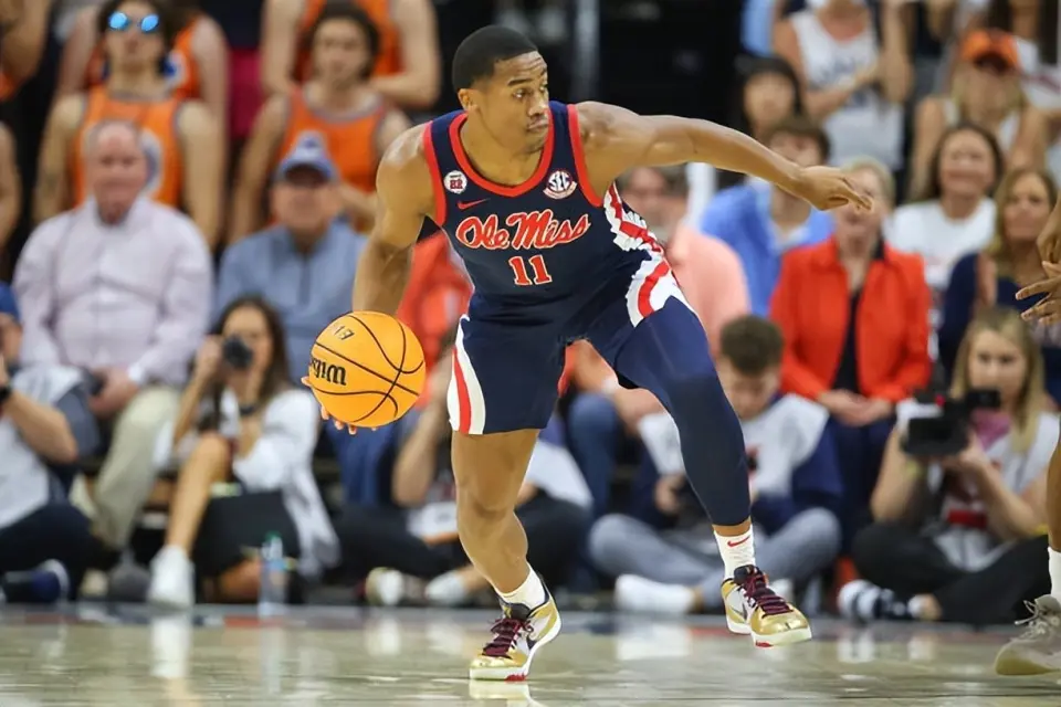 条款的训练, img, 届新秀中运